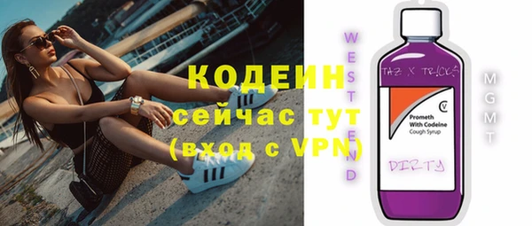таблы Бородино
