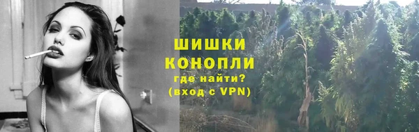 таблы Бородино