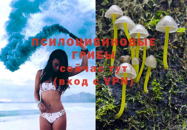 альфа пвп Богданович
