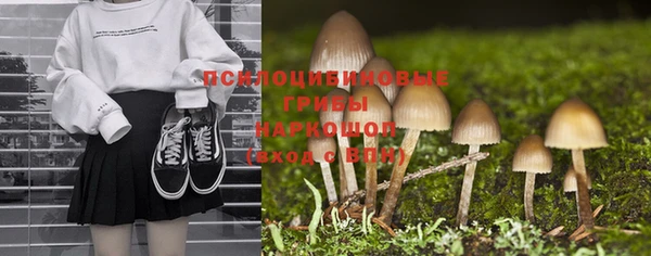 таблы Бородино