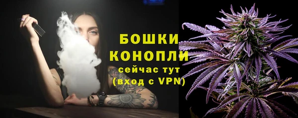 таблы Бородино